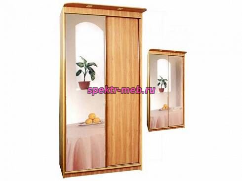 Шкаф-купе Гелакси двухдверный