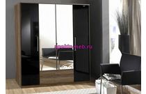 Шкаф распашной Глянец 9