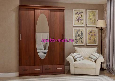 Шкаф-купе Сан-Фернандо 5