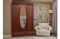 Шкаф-купе Сан-Фернандо 5