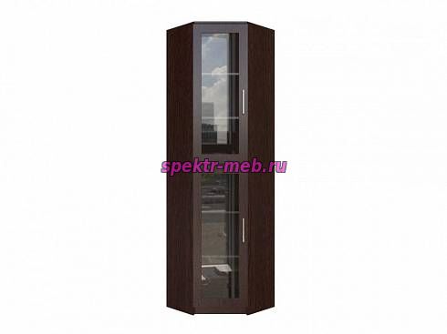 Книжный угловой шкаф Деймос