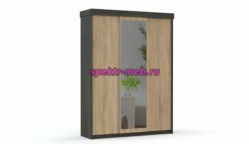 Шкаф-купе Бася