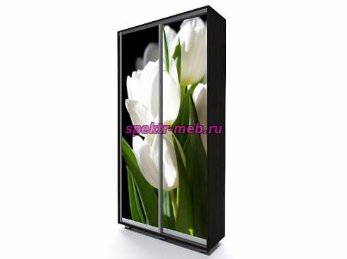 Шкаф-купе EL-04