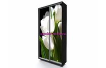 Шкаф-купе EL-04