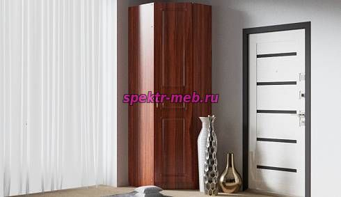 Шкаф Визит-05