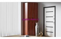 Шкаф Визит-05