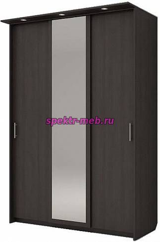 Шкаф-купе Альянс 3.10