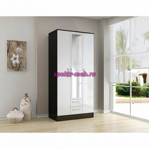 Шкаф распашной Глянец 2