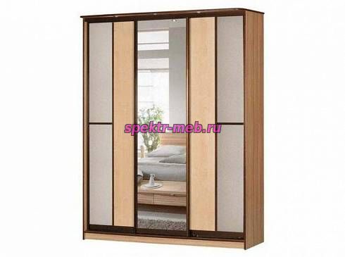 Шкаф-купе Концепт 21.1