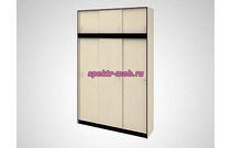 Шкаф-купе Мила 3А