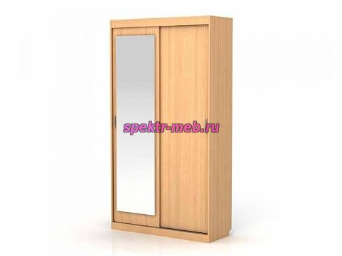 Шкаф-купе СРД-2х дверный с зеркалом