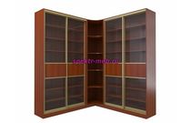 Библиотека-купе угловая Анхель