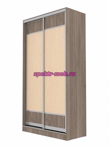 Шкаф-купе Премьер-1 2-х дверный