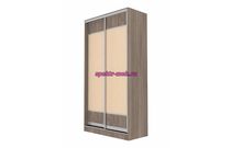 Шкаф-купе Премьер-1 2-х дверный