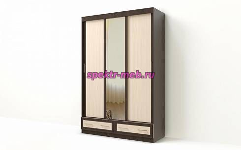 Шкаф-купе Сан-Луис 2