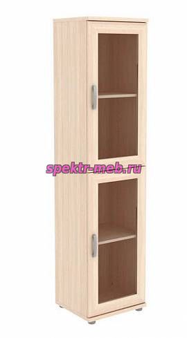 Шкаф для книг Диоскура 4