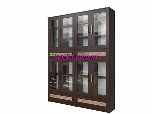 Книжный шкаф Эгисф 45