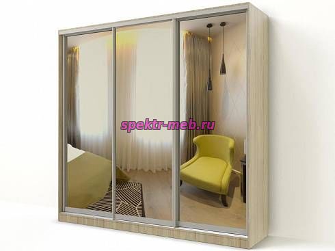 Шкаф-купе Макролюкс 5