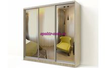 Шкаф-купе Макролюкс 5