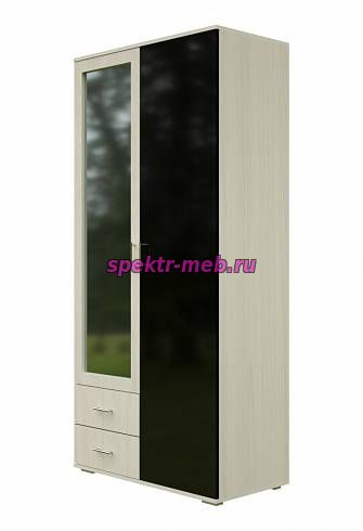 Шкаф распашной Глянец 8