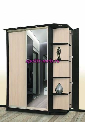 Шкаф-купе Тромпия 9