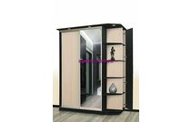 Шкаф-купе Тромпия 9