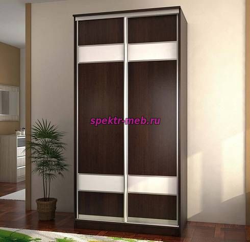Шкаф-купе Рио 1.2