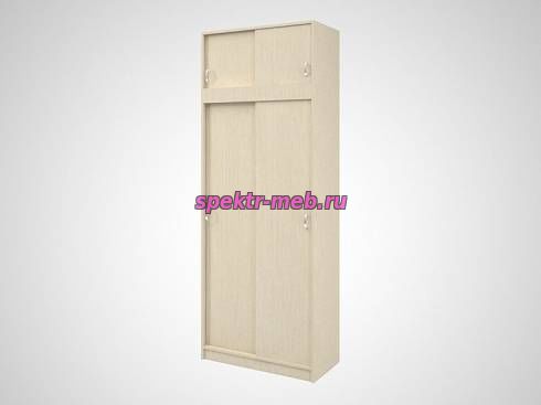 Шкаф-купе Мила 2А