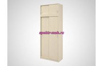 Шкаф-купе Мила 2А