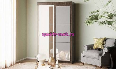 Шкаф-купе Европа - 13