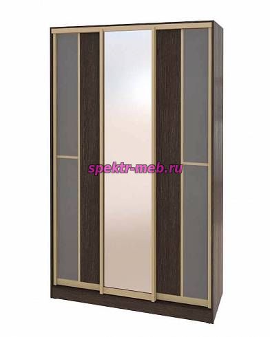 Шкаф-купе Концепт-21