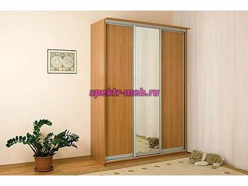 Шкаф-купе Версаль-12