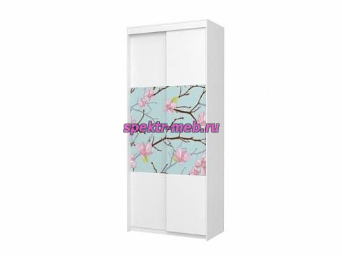 Шкаф-купе Авитошк