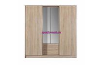 Шкаф-купе Гера-5