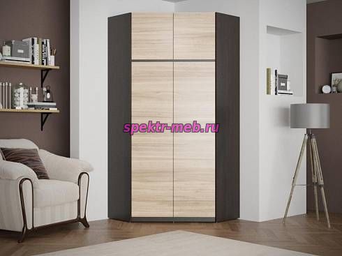 Угловой шкаф Моден 2D