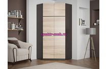 Угловой шкаф Моден 2D