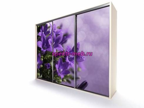 Шкаф-купе EL-05