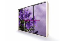 Шкаф-купе EL-05