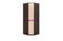 Шкаф угловой Смарт 06.23