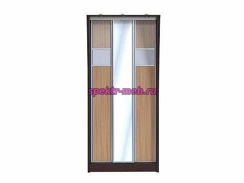 Шкаф-купе Концепт-10.11