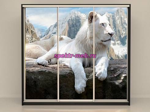 Шкаф-купе Лев