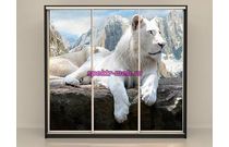 Шкаф-купе Лев