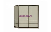 Шкаф-купе Венера 2