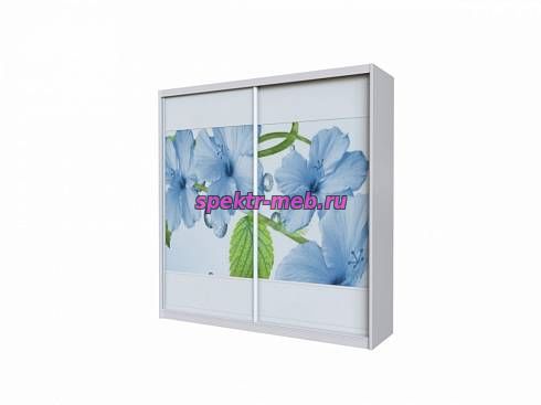 Шкаф-купе Цветочный узор 2210