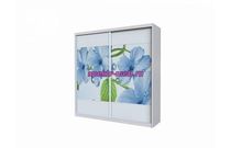 Шкаф-купе Цветочный узор 2210