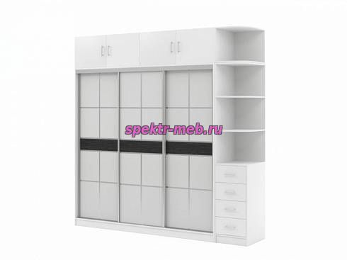 Шкаф-купе Дональд 10