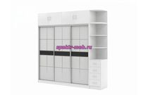 Шкаф-купе Дональд 10