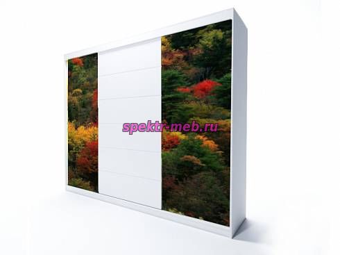 Шкаф-купе Парк 0213