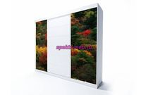 Шкаф-купе Парк 0213