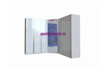 Шкаф-купе Глянец-21